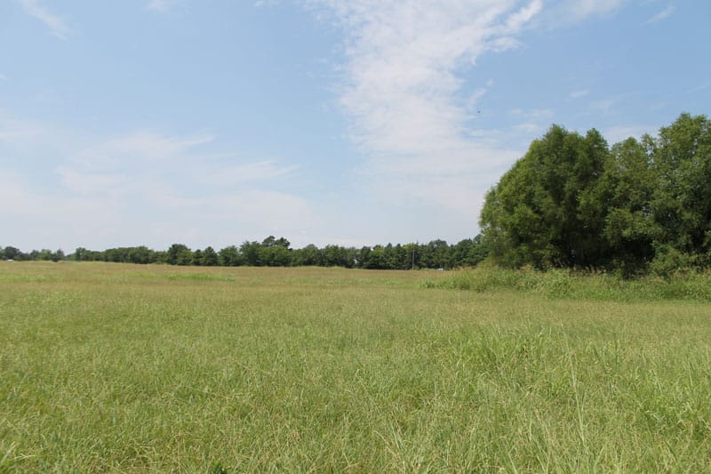 McCoy Creek Ranch Tract 4 photo 10