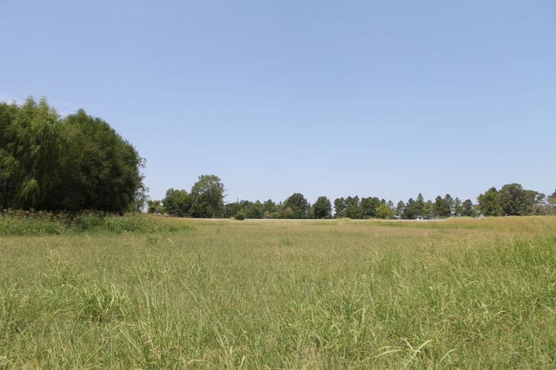 McCoy Creek Ranch Tract 4 photo 11