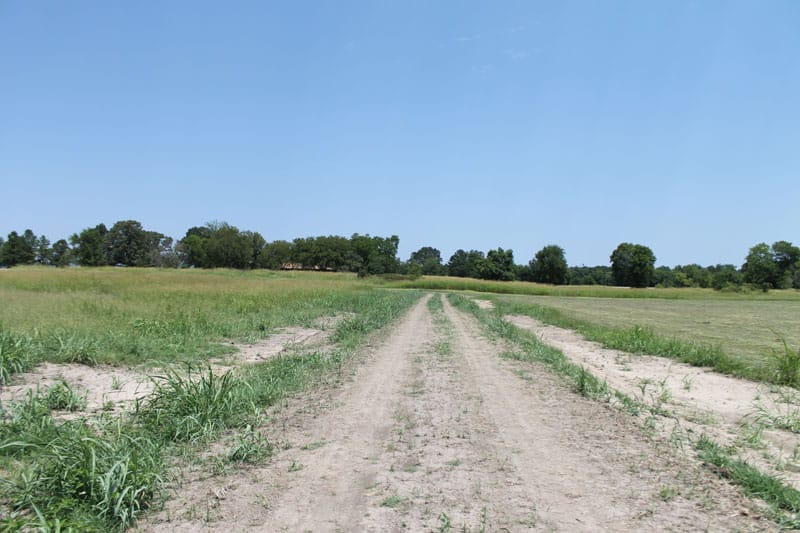 McCoy Creek Ranch Tract 4 photo 12
