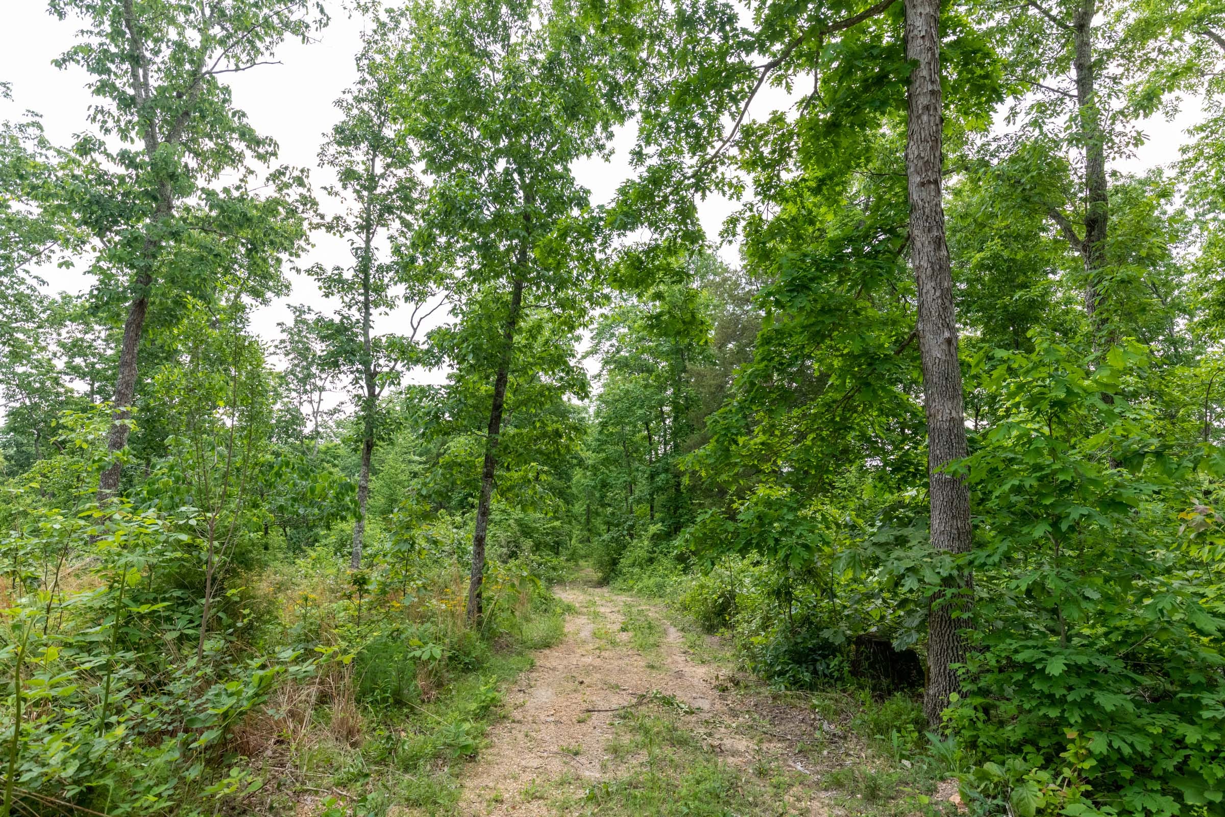 Cedar Creek Tract 19 photo 1