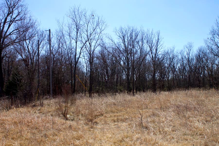 Cowboy Meadows Tract 15 photo 2
