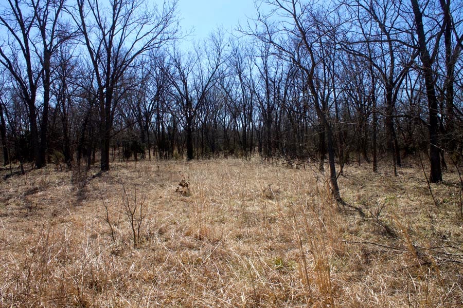 Cowboy Meadows Tract 15 photo 3