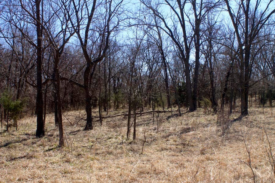 Cowboy Meadows Tract 15 photo 4