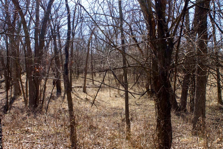 Cowboy Meadows Tract 15 photo 5