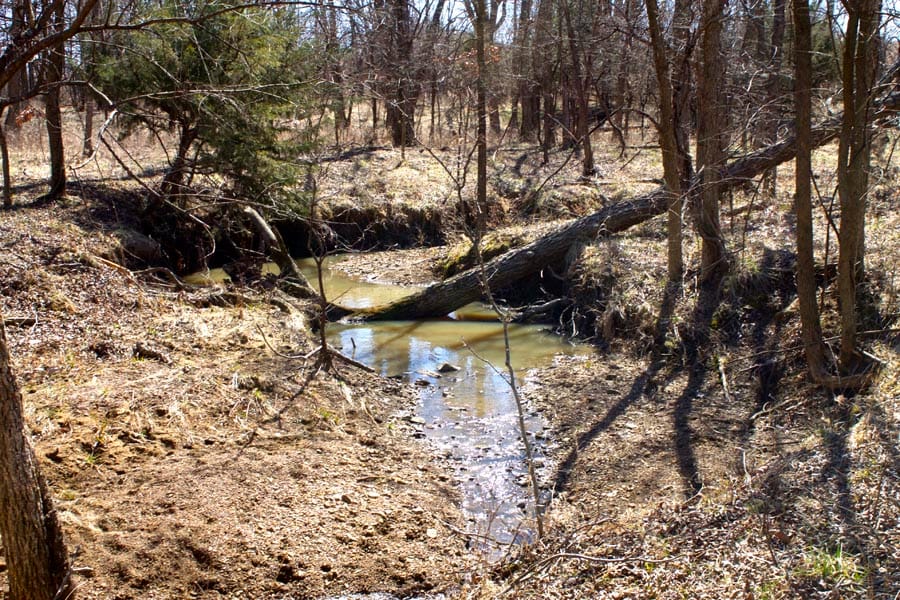 Cowboy Meadows Tract 15 photo 6