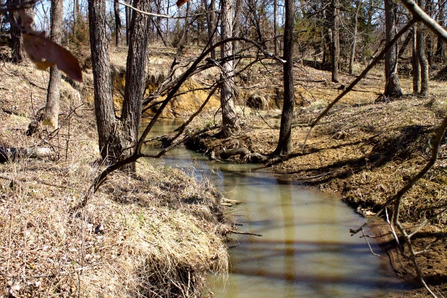 Cowboy Meadows Tract 15 photo 7