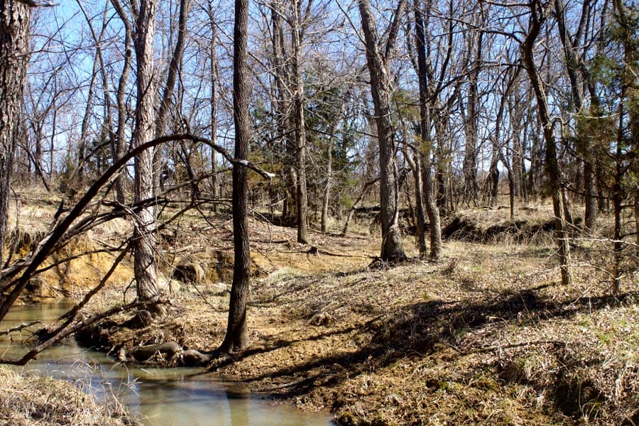 Cowboy Meadows Tract 15 photo 8
