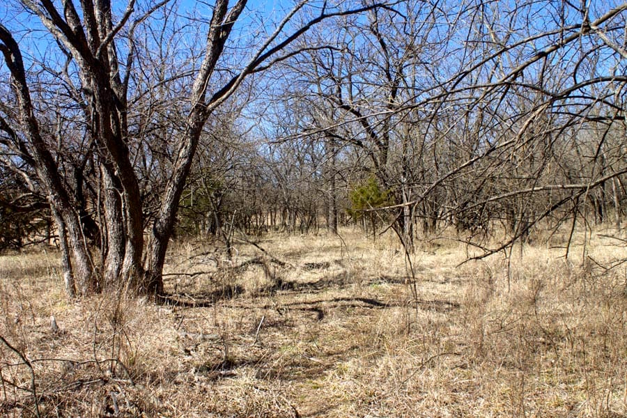 Cowboy Meadows Tract 15 photo 9