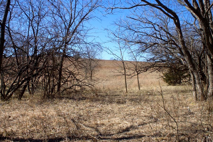 Cowboy Meadows Tract 15 photo 10