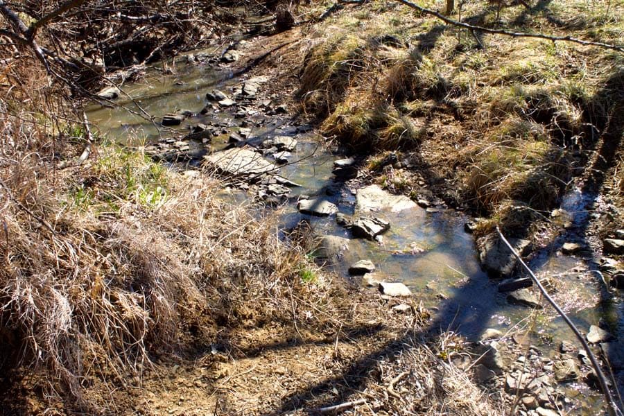Cowboy Meadows Tract 15 photo 11