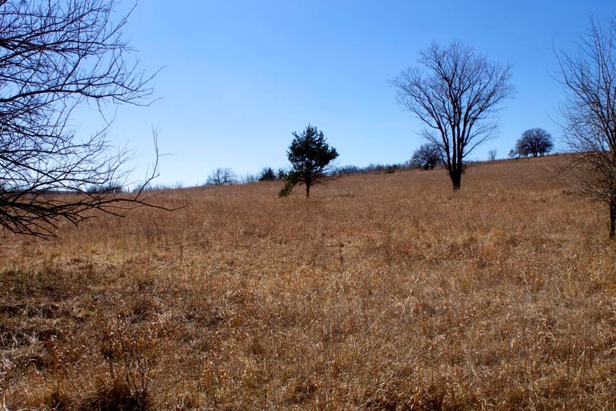Cowboy Meadows Tract 15 photo 12