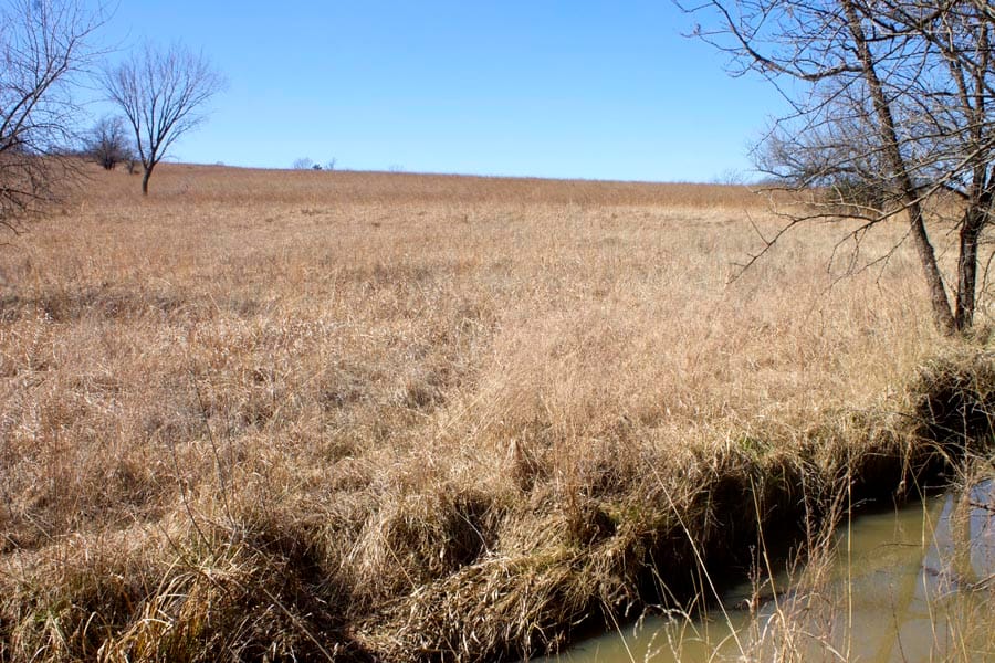 Cowboy Meadows Tract 15 photo 13