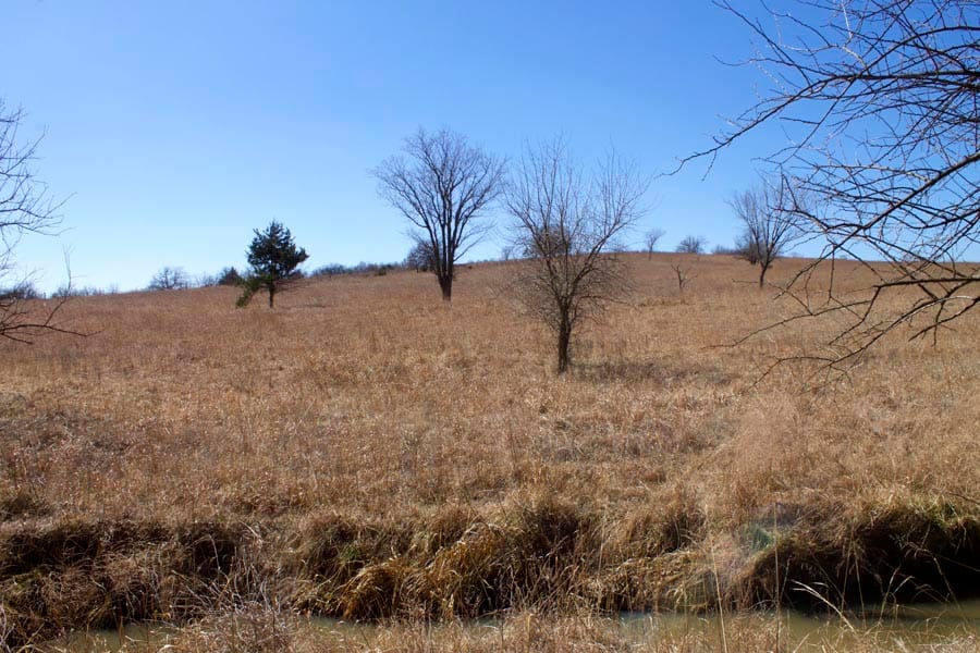 Cowboy Meadows Tract 15 photo 14