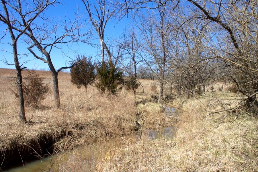 Cowboy Meadows Tract 15 photo 15