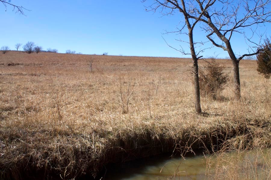 Cowboy Meadows Tract 15 photo 16