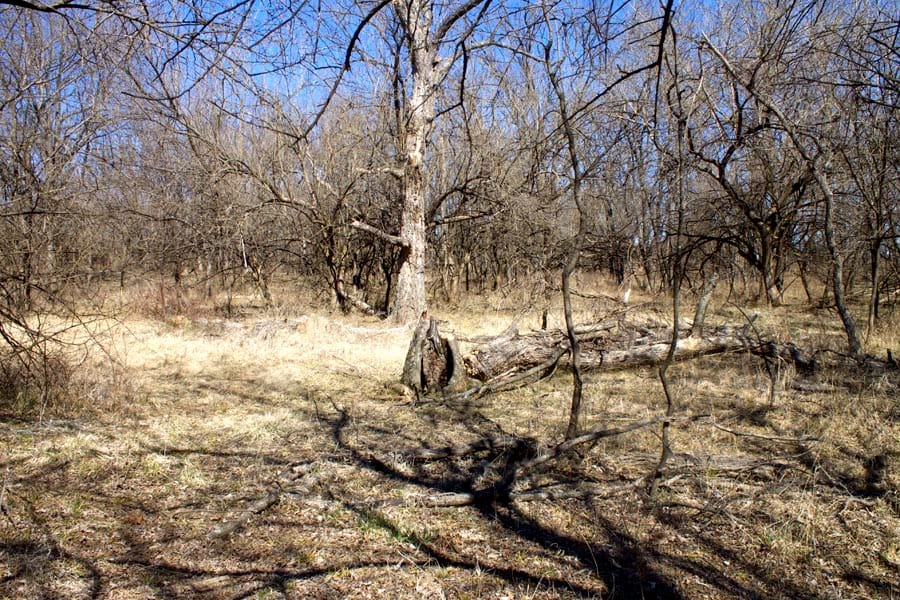 Cowboy Meadows Tract 15 photo 17