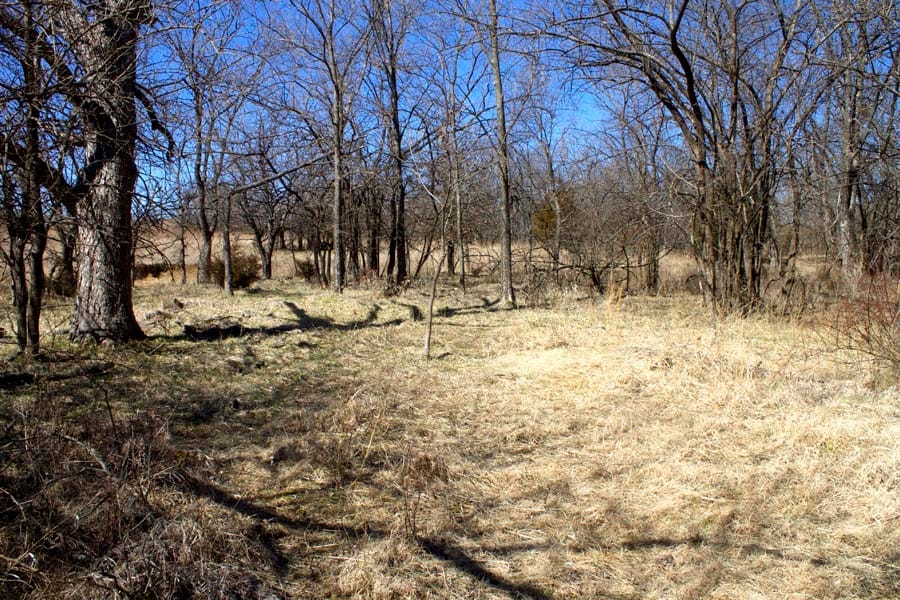Cowboy Meadows Tract 15 photo 18