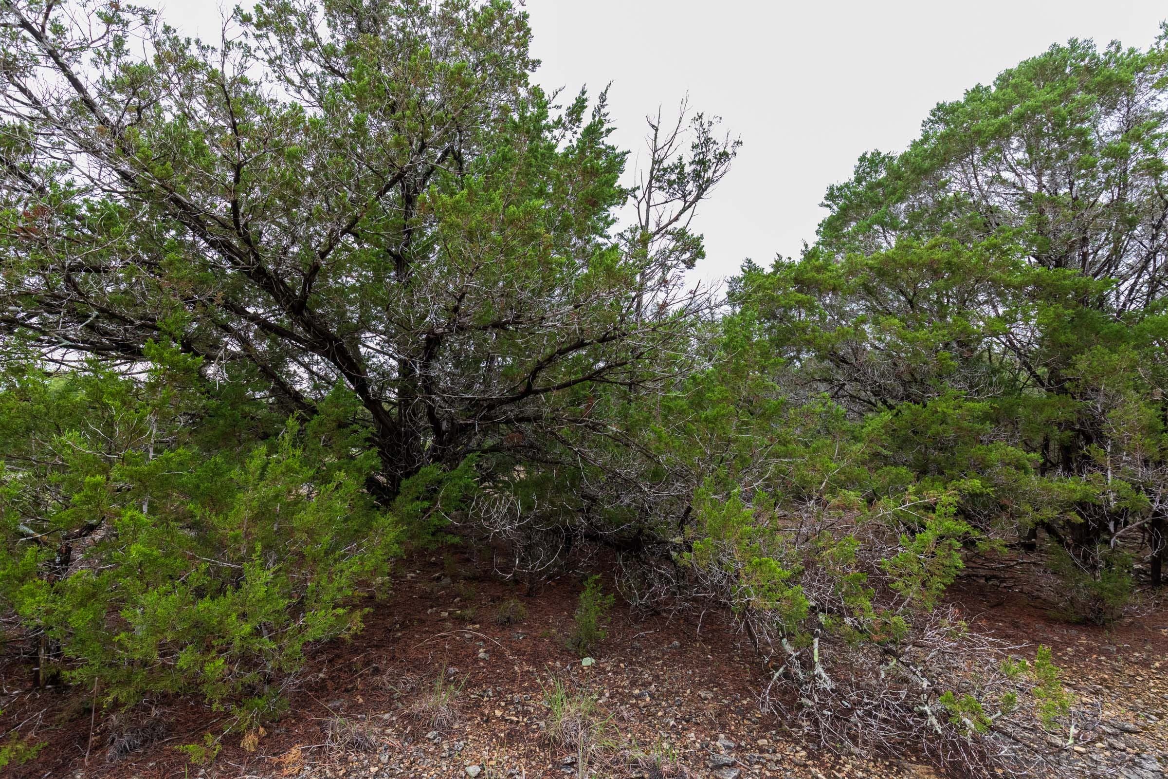 Heritage Bend Tract 44 photo 4