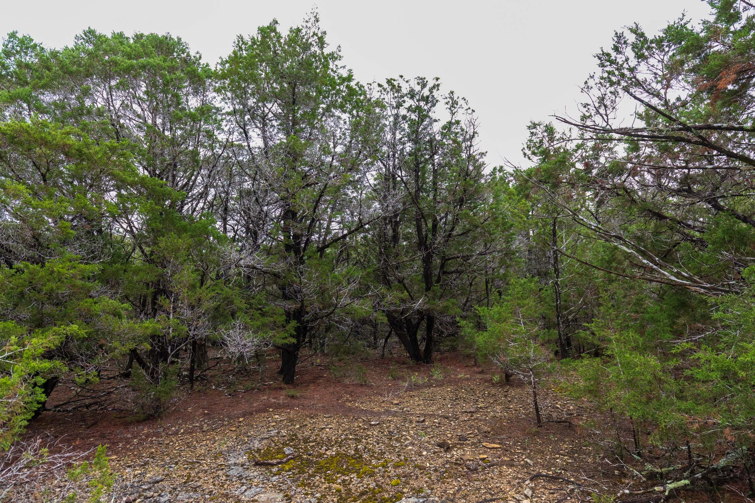 Heritage Bend Tract 44 photo 2