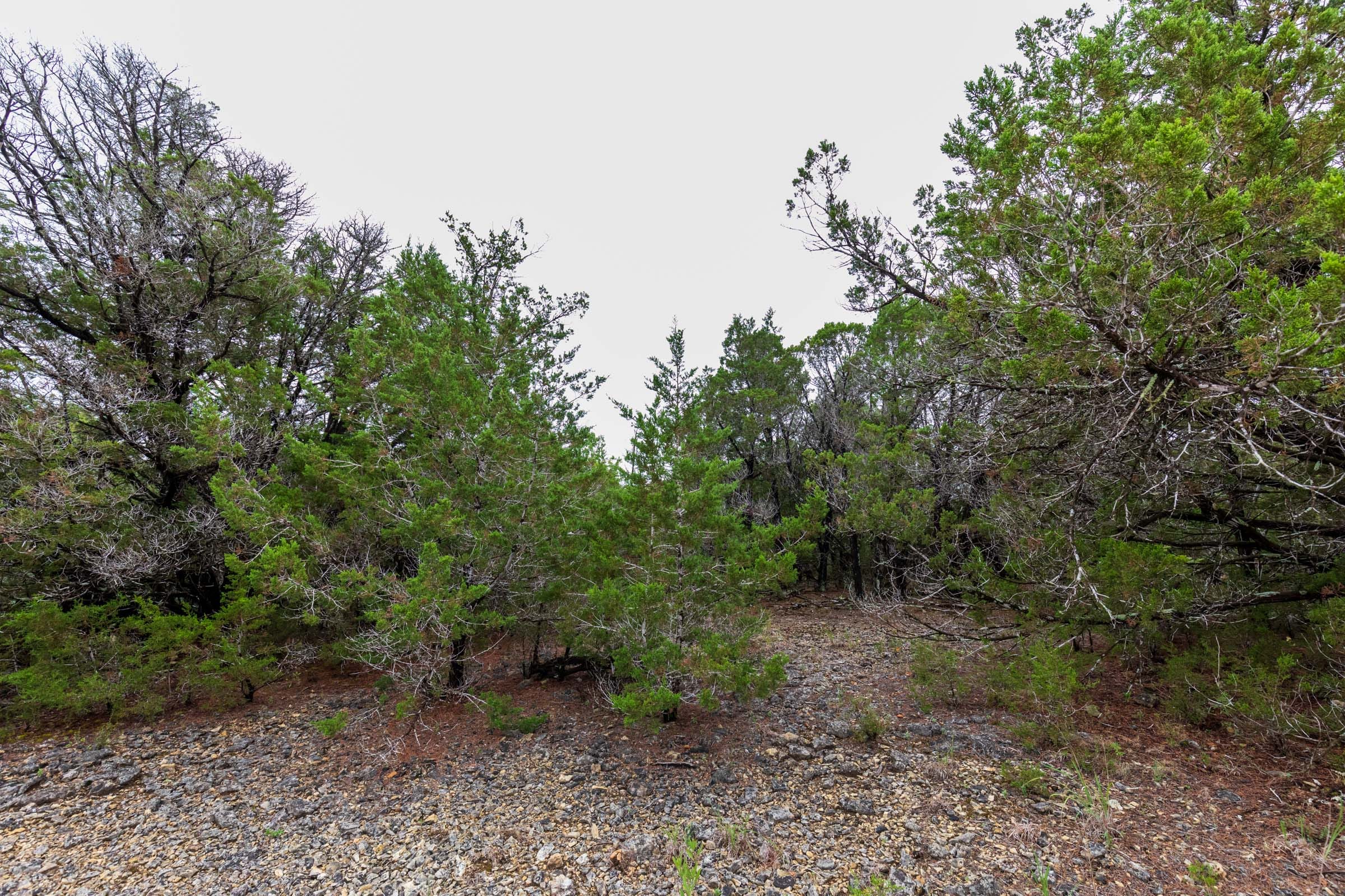 Heritage Bend Tract 44 photo 6