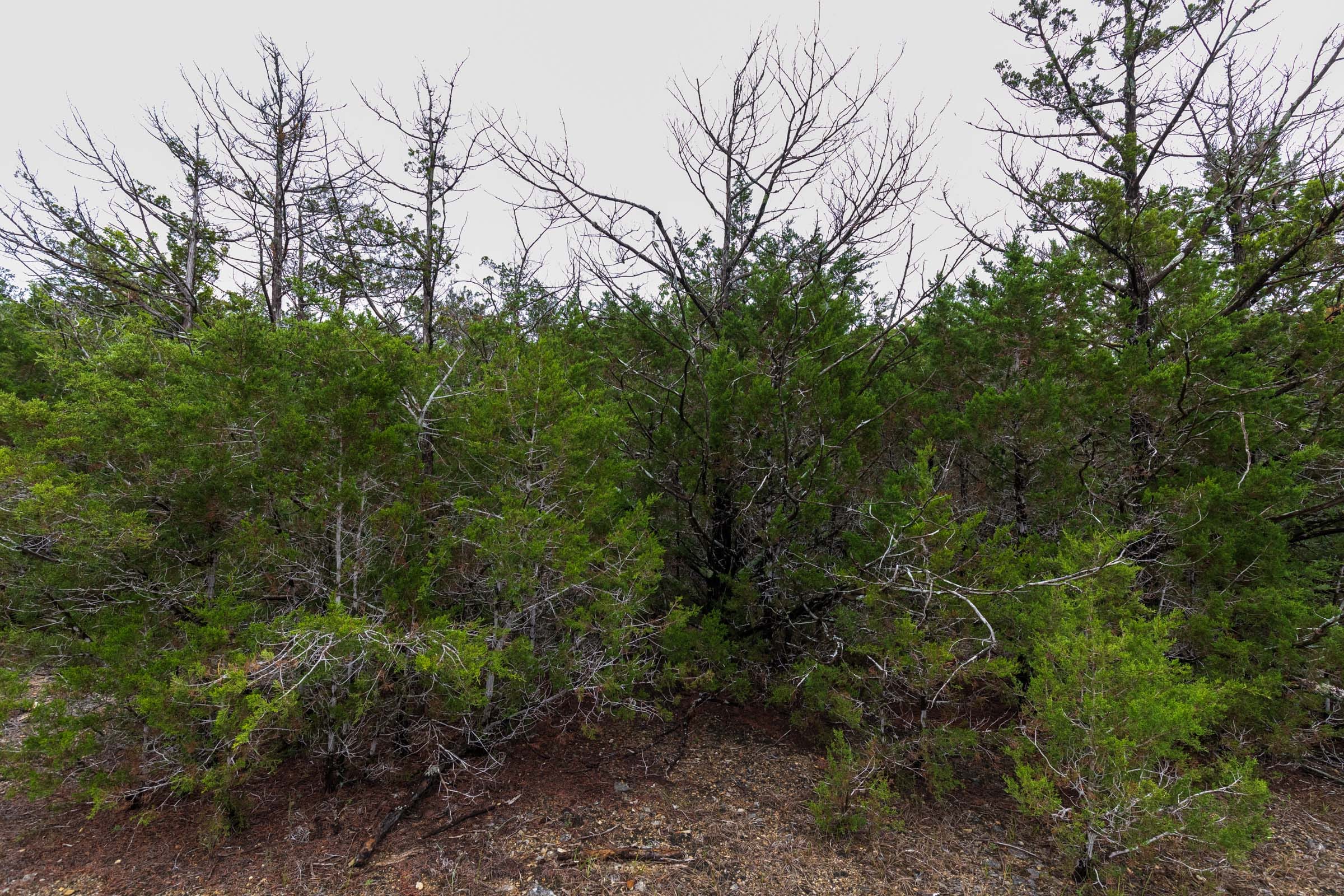 Heritage Bend Tract 44 photo 5