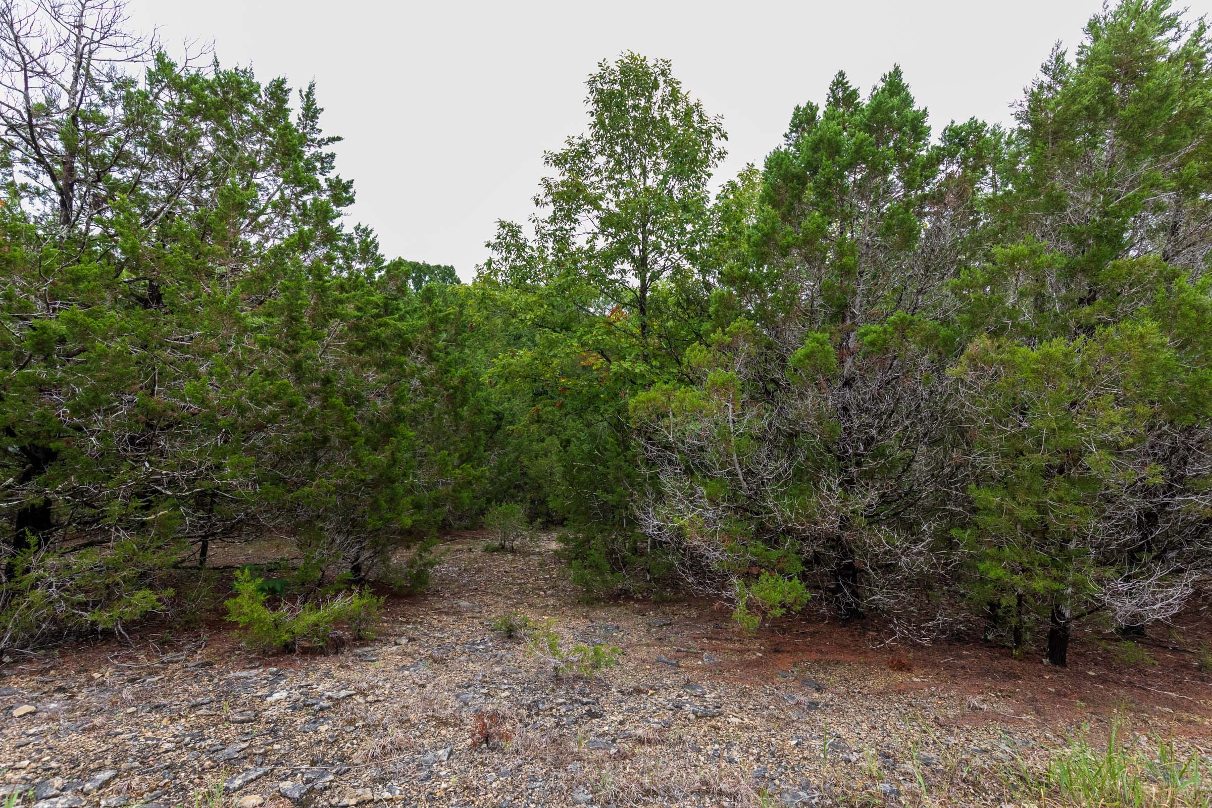 Heritage Bend Tract 44 photo 11