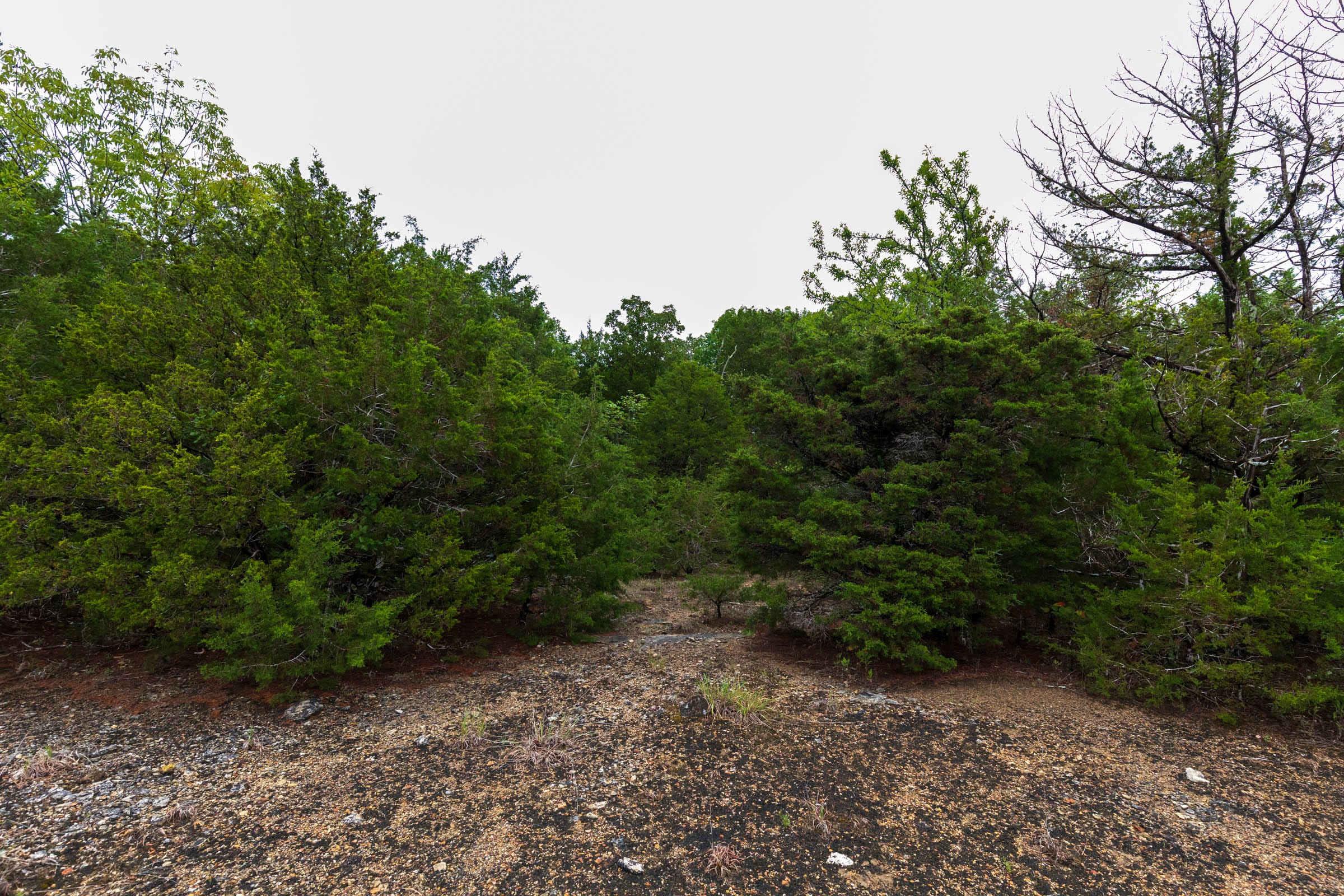 Heritage Bend Tract 44 photo 9