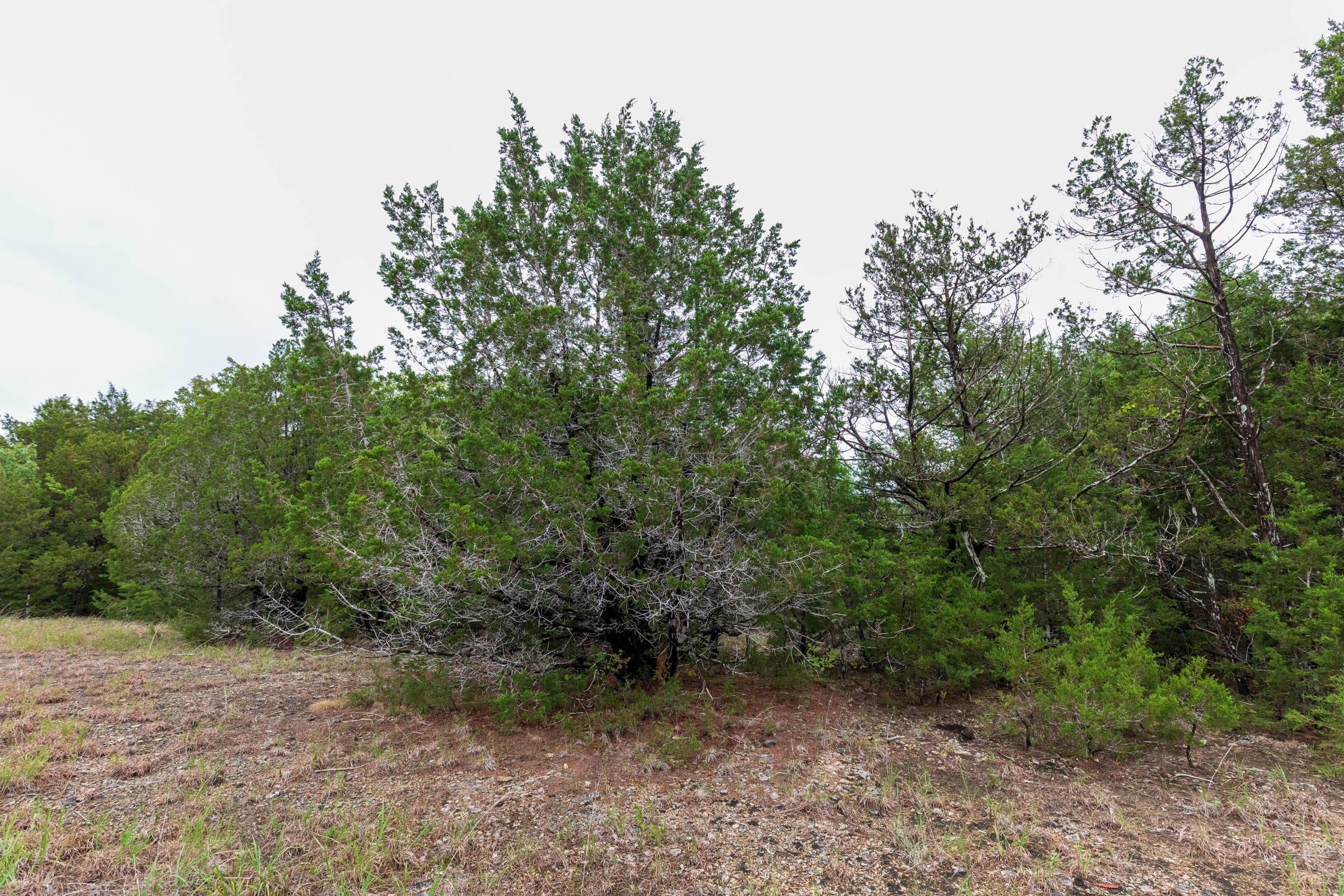 Heritage Bend Tract 44 photo 12