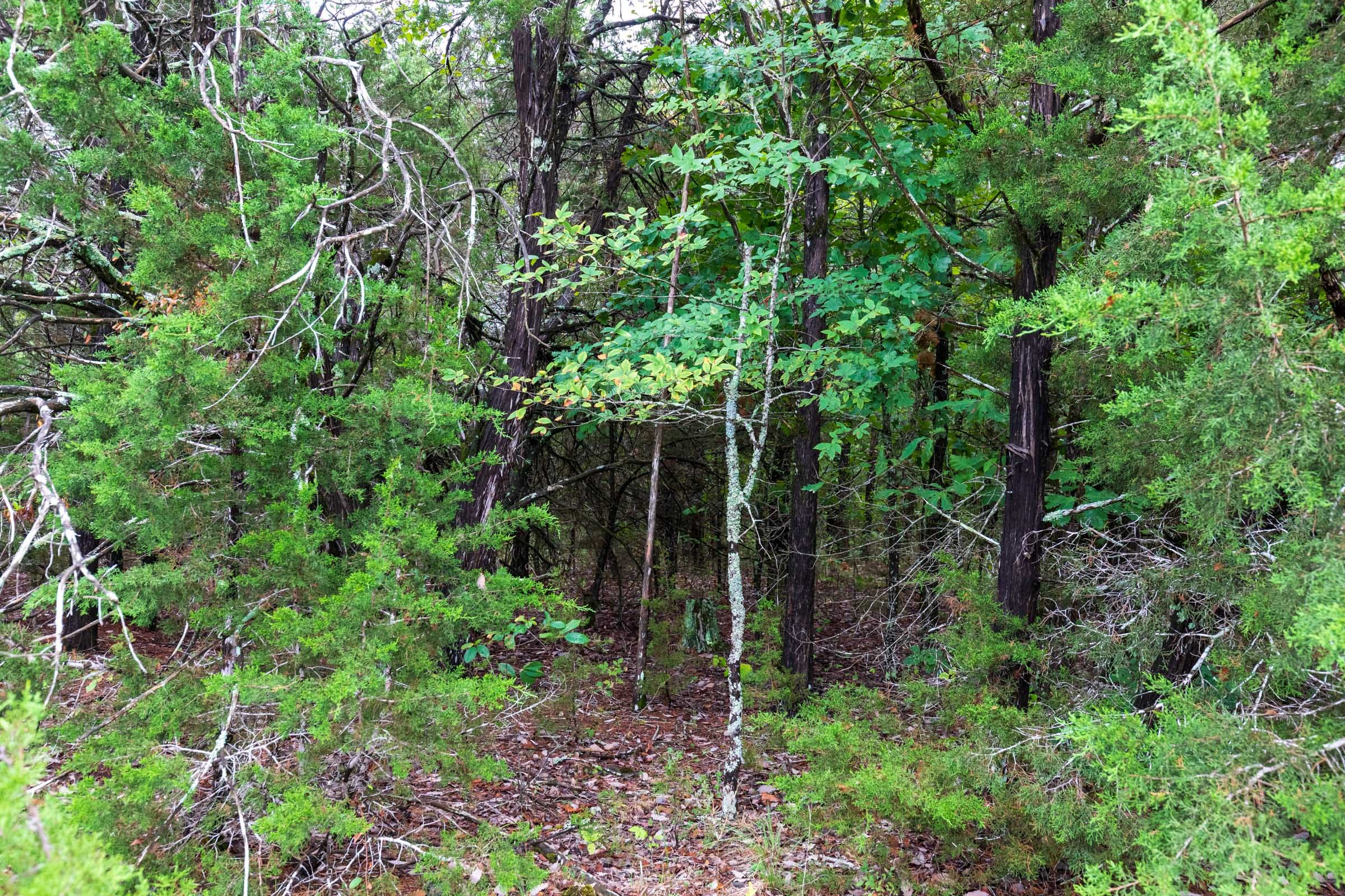 Heritage Bend Tract 44 photo 10