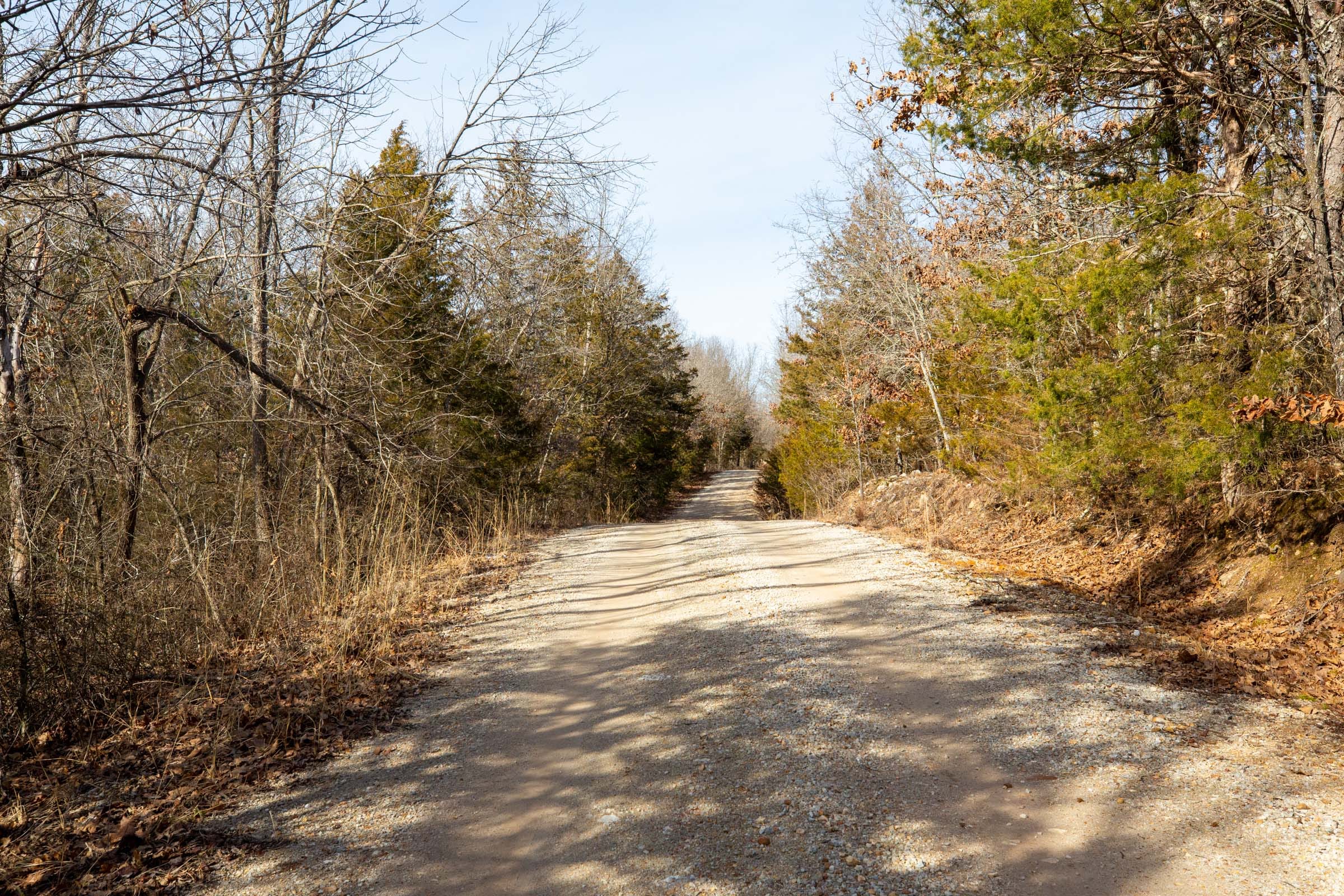 Forest Hill Tract 10 photo 5