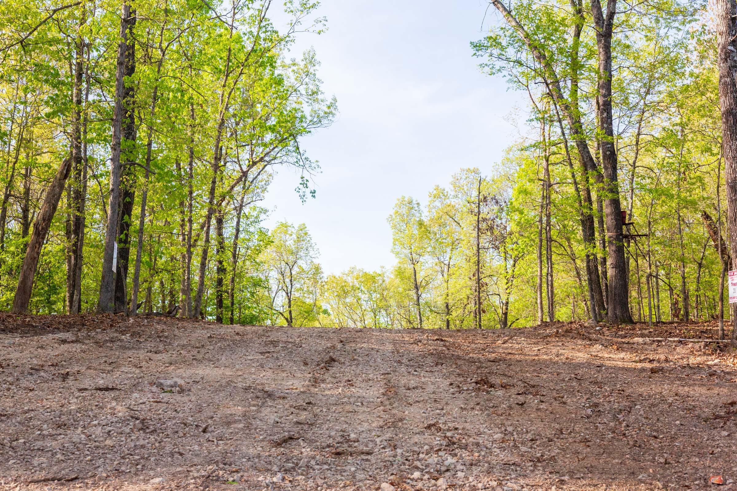 Autumnwood Tract 19 photo 1