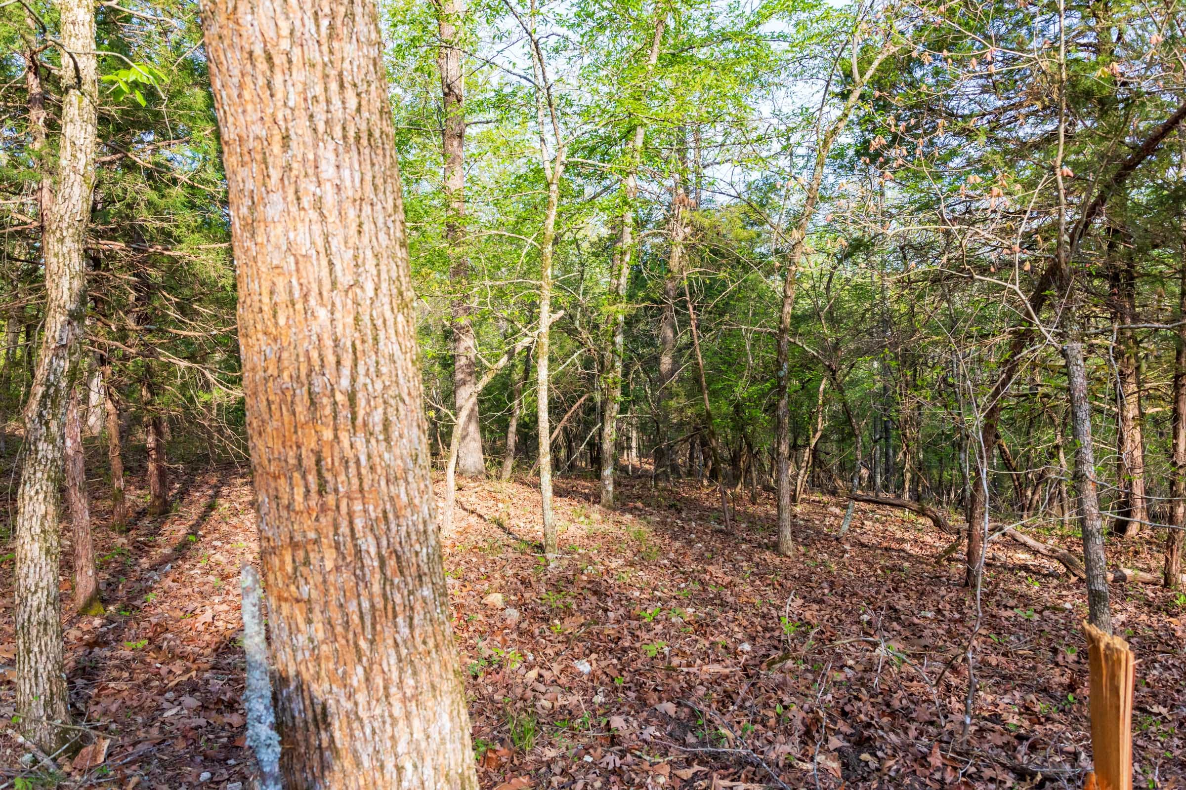Autumnwood Tract 19 photo 6