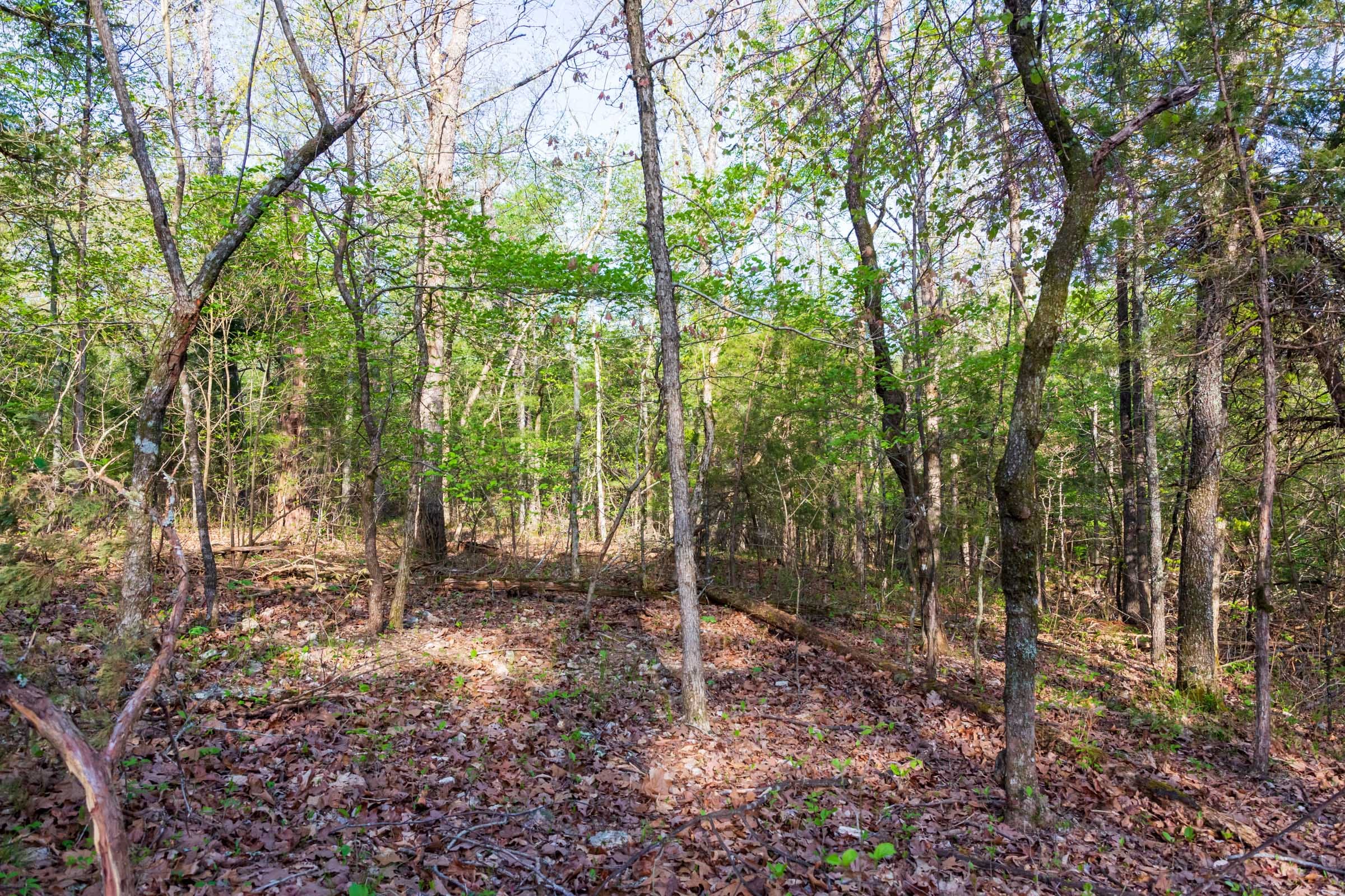 Autumnwood Tract 19 photo 11