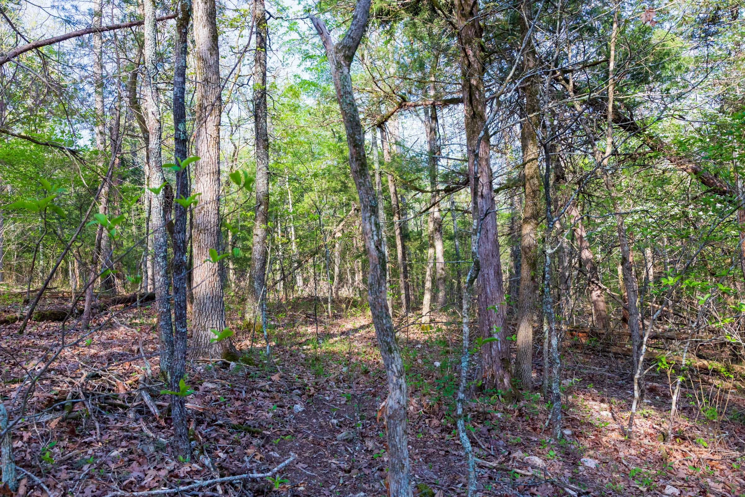 Autumnwood Tract 19 photo 12