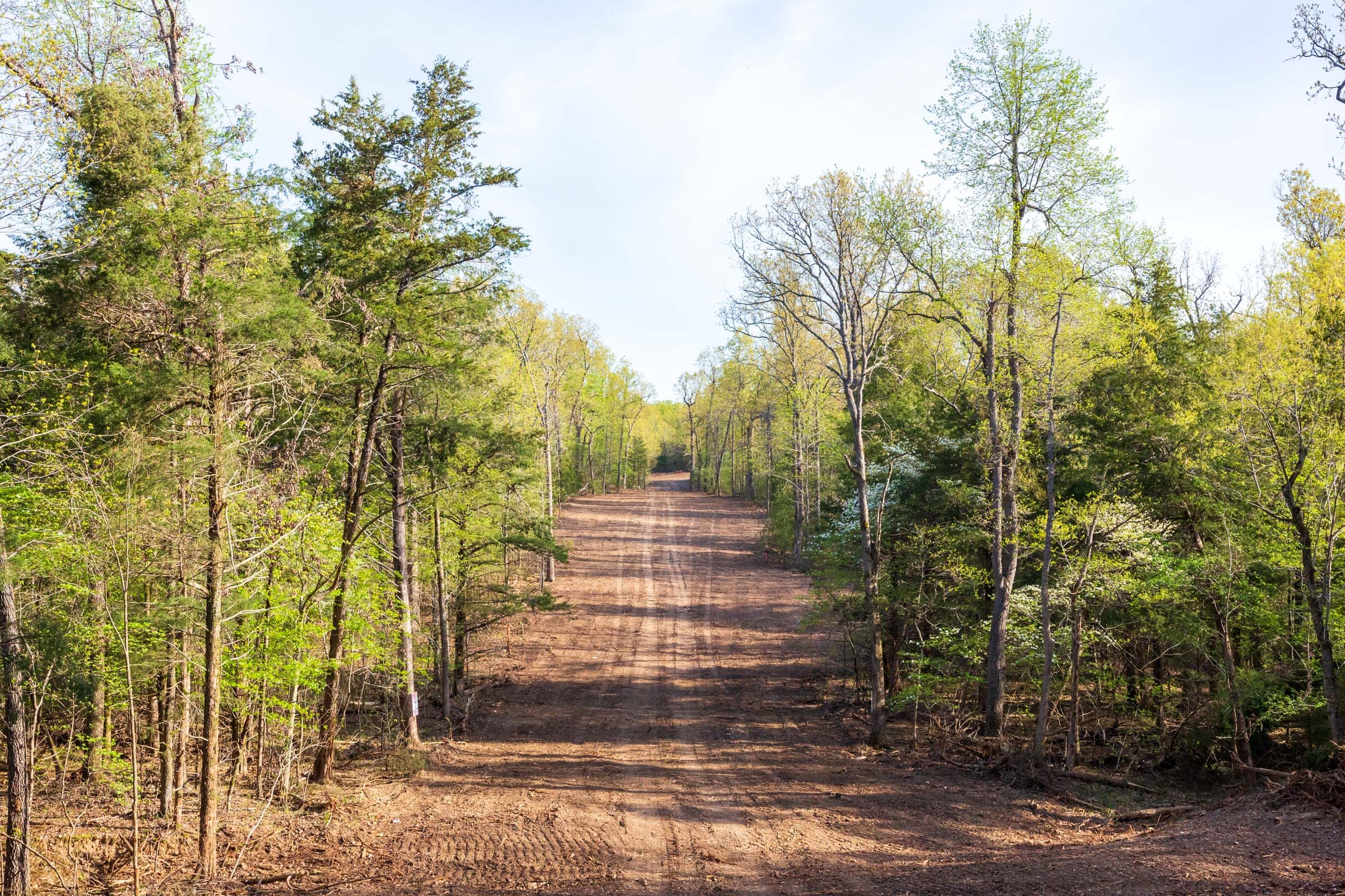 Autumnwood Tract 19 photo 13