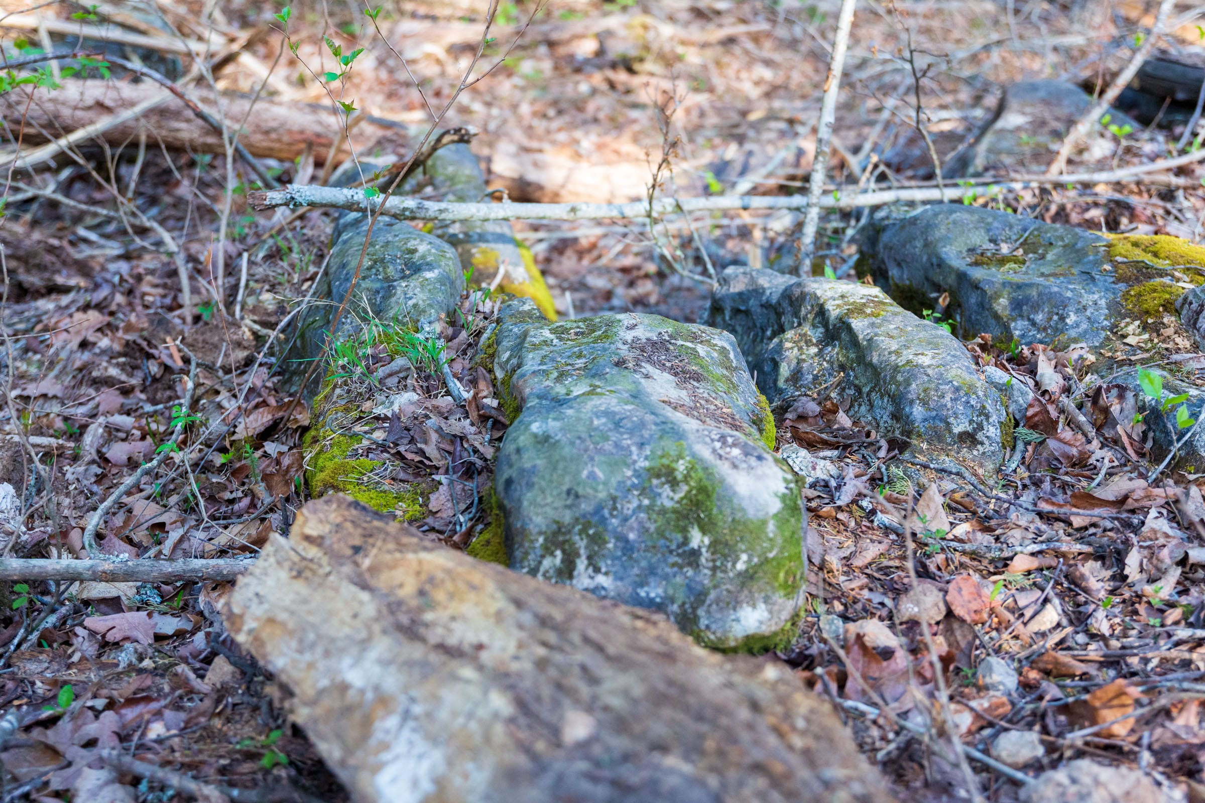 Autumnwood Tract 19 photo 14