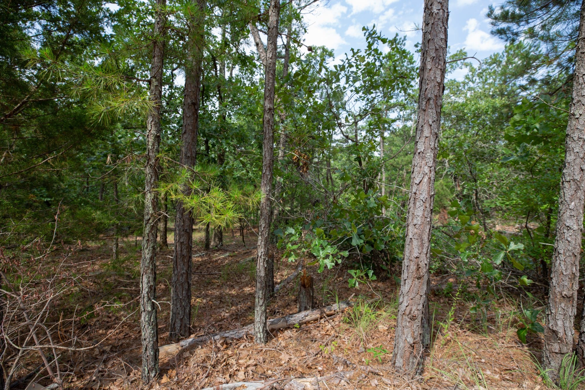 Eagle’s Nest Tract 40 photo 2