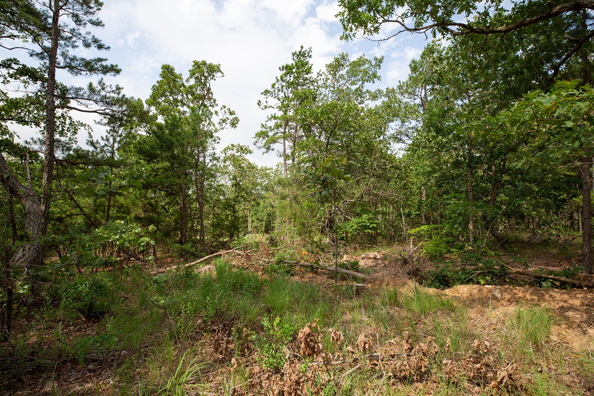 Eagle’s Nest Tract 40 photo 3