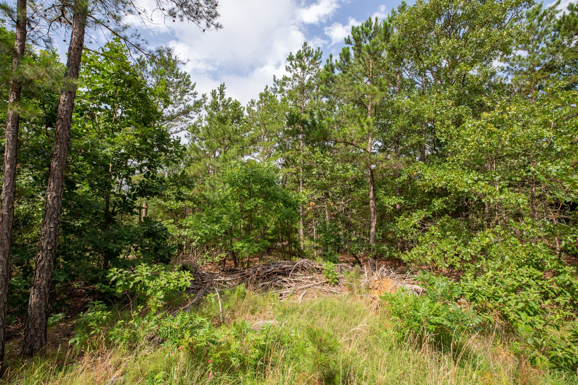 Eagle’s Nest Tract 40 photo 4