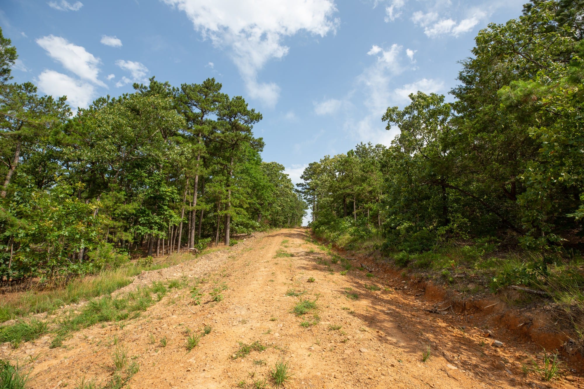 Eagle’s Nest Tract 40 photo 5
