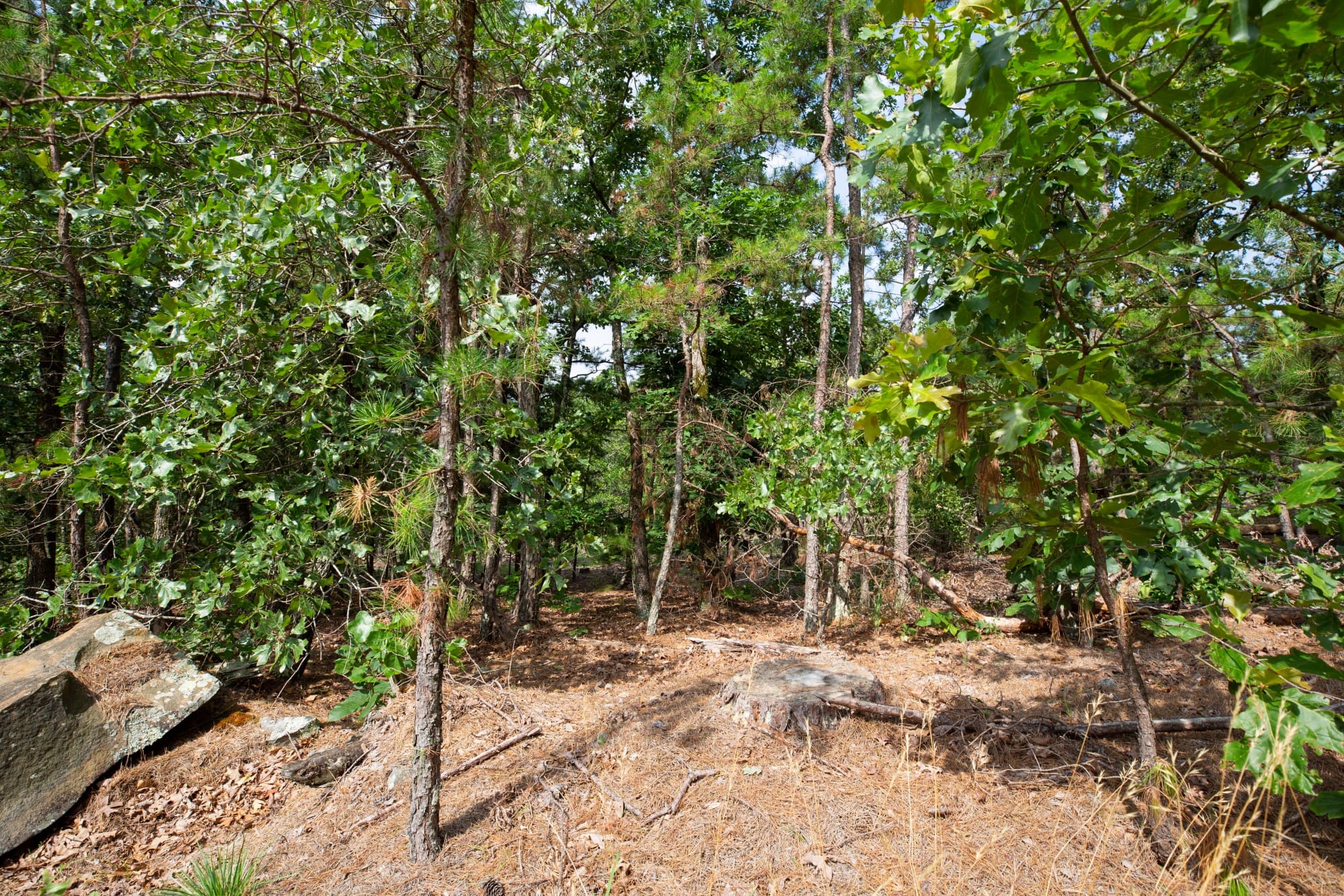 Eagle’s Nest Tract 40 photo 6