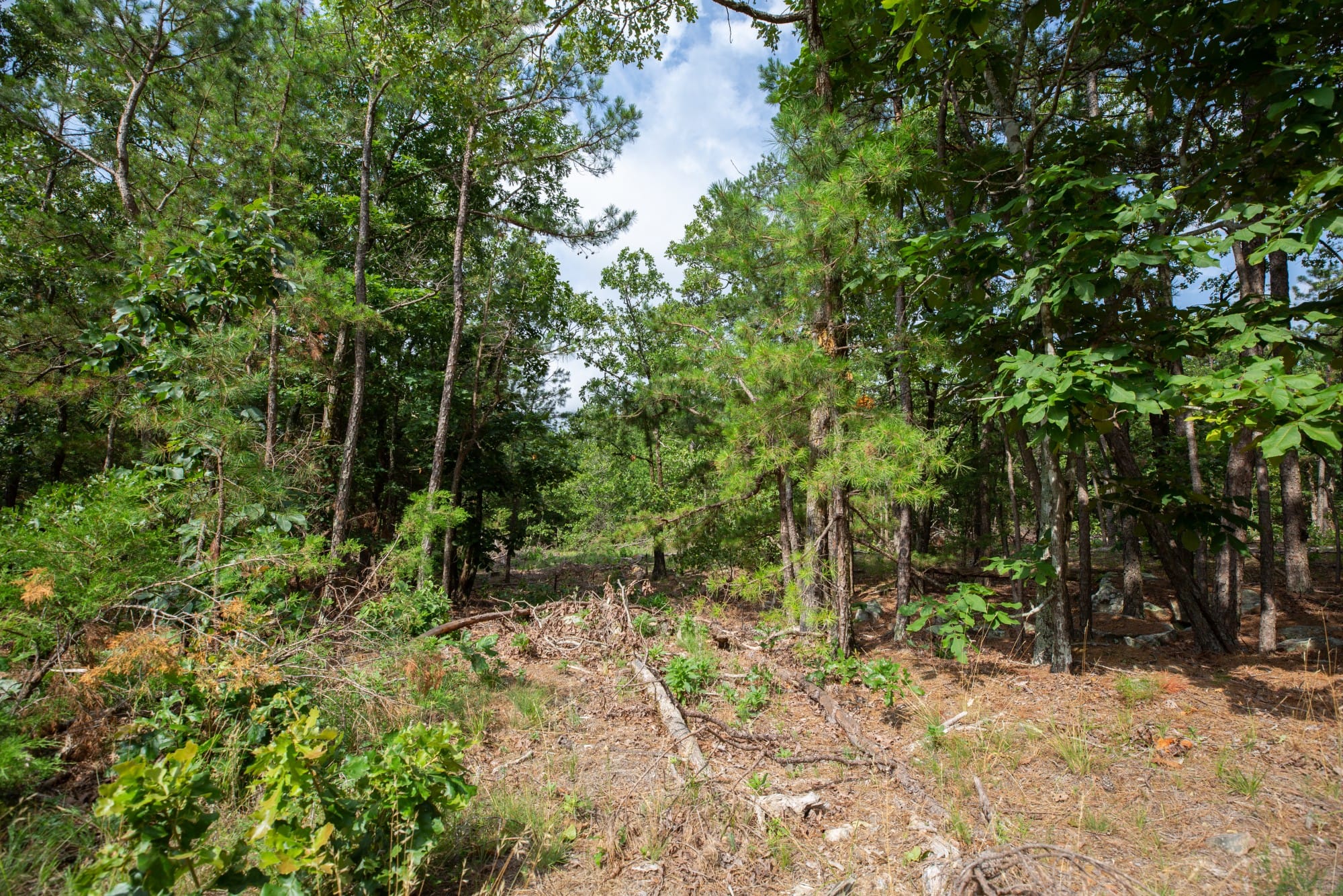 Eagle’s Nest Tract 40 photo 7