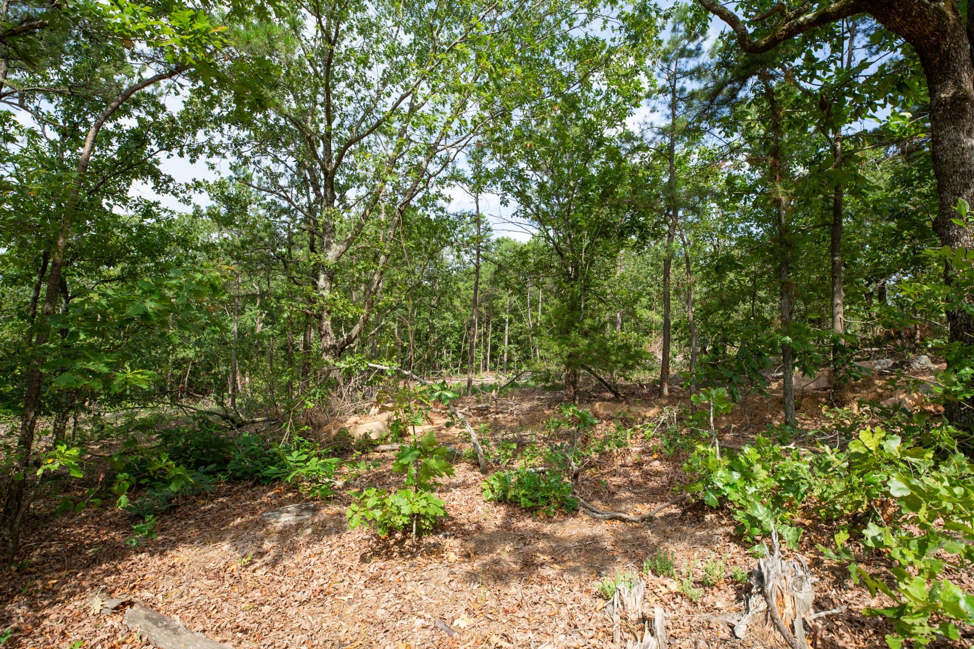 Eagle’s Nest Tract 40 photo 11