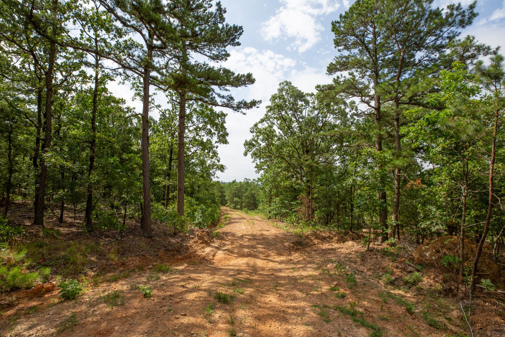 Eagle’s Nest Tract 40 photo 10