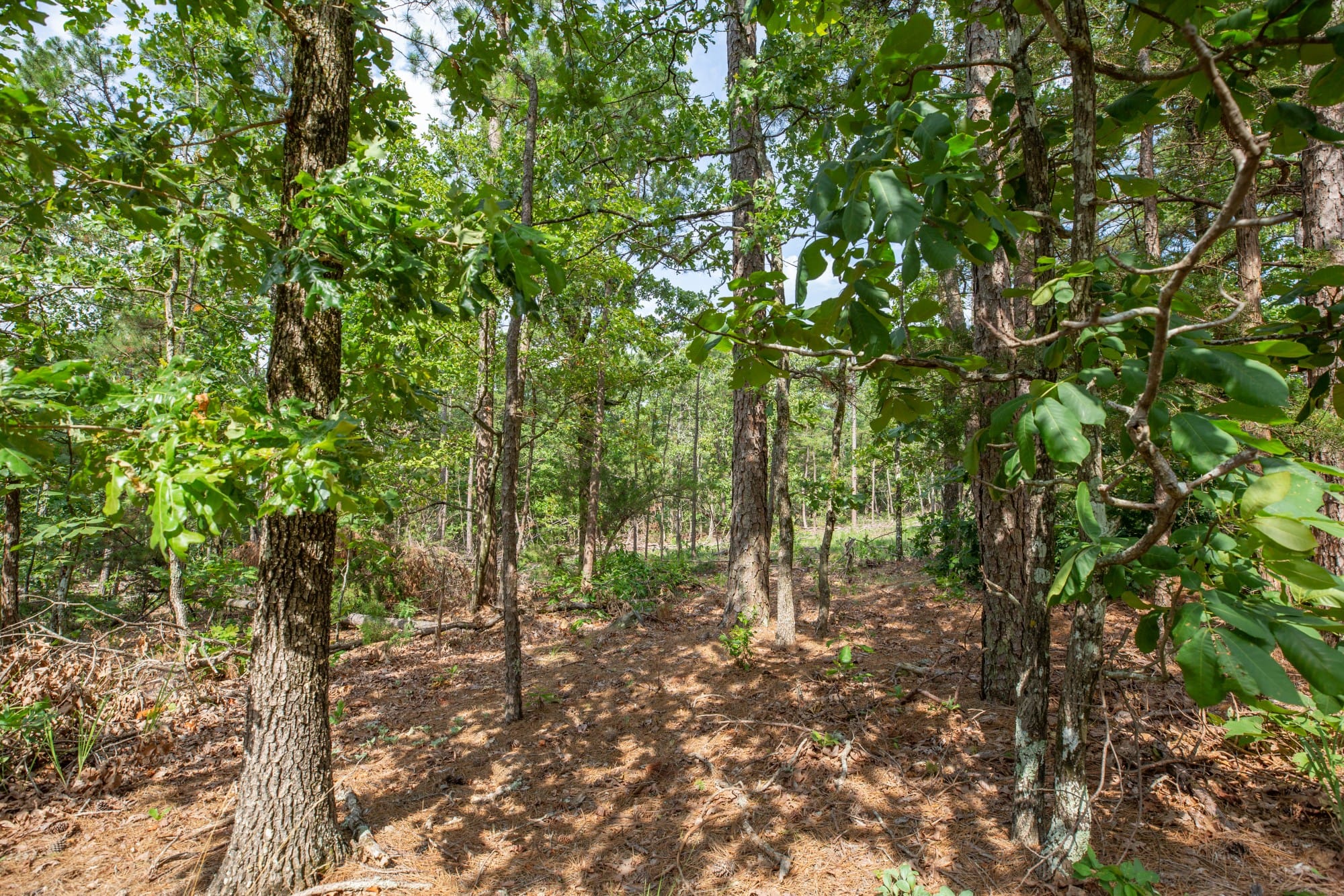 Eagle’s Nest Tract 40 photo 13