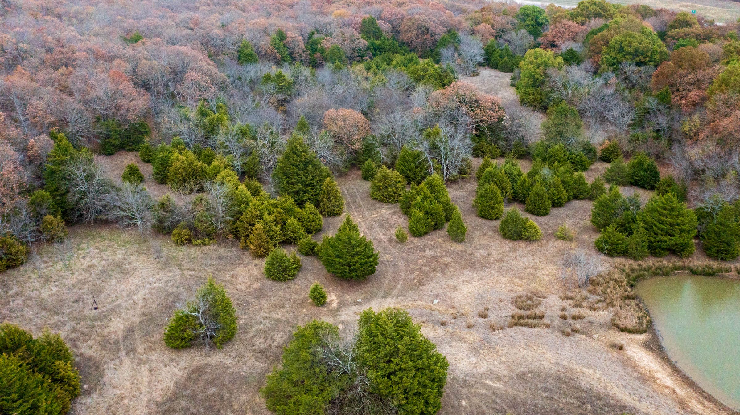 Crystal Springs Tract 4 photo 2