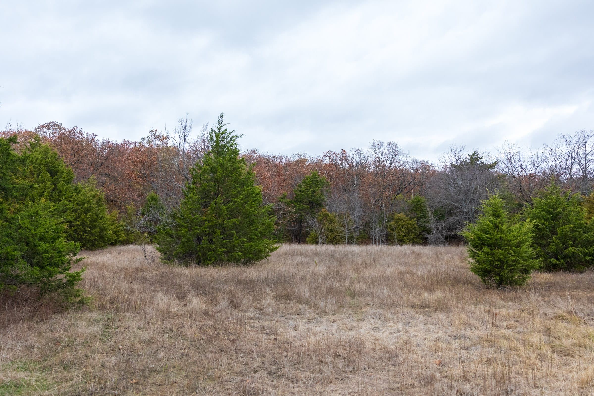 Crystal Springs Tract 4 photo 3