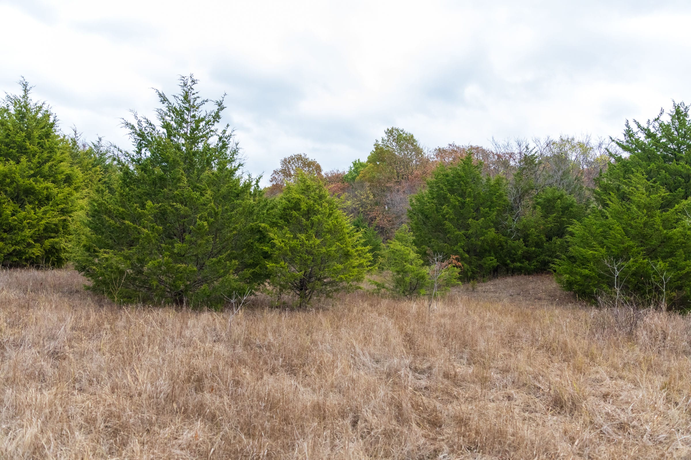 Crystal Springs Tract 4 photo 5