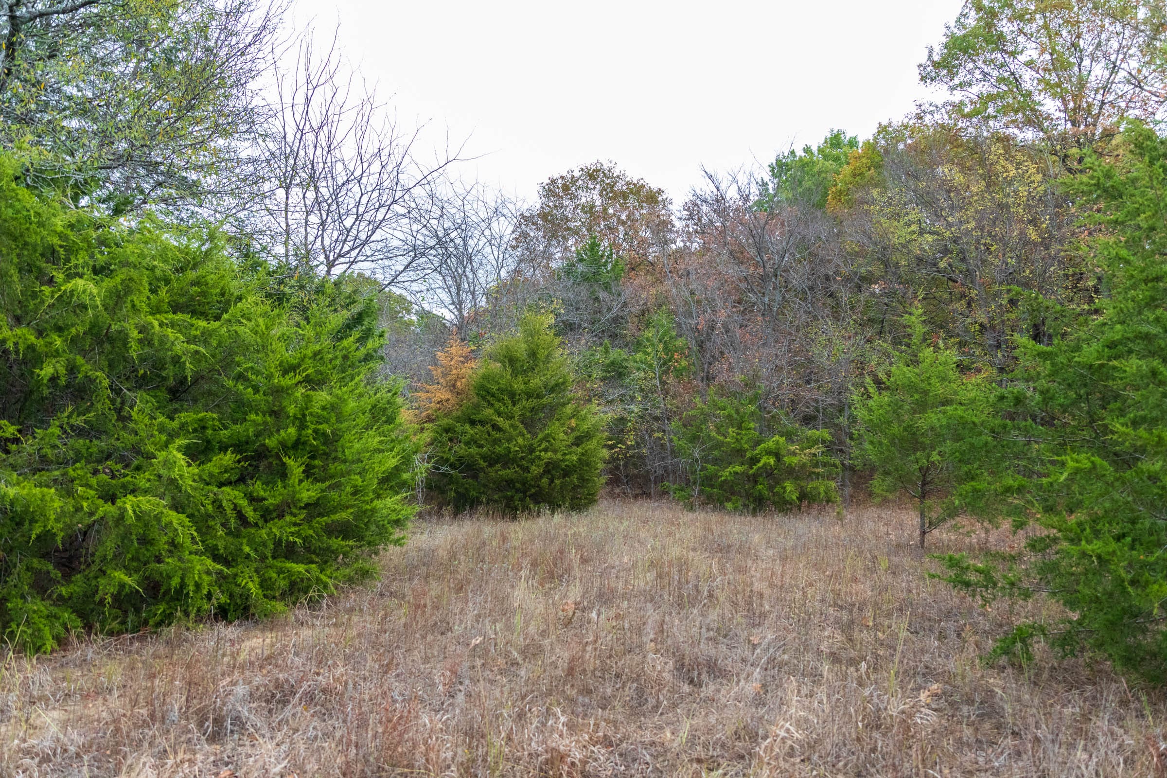 Crystal Springs Tract 4 photo 6