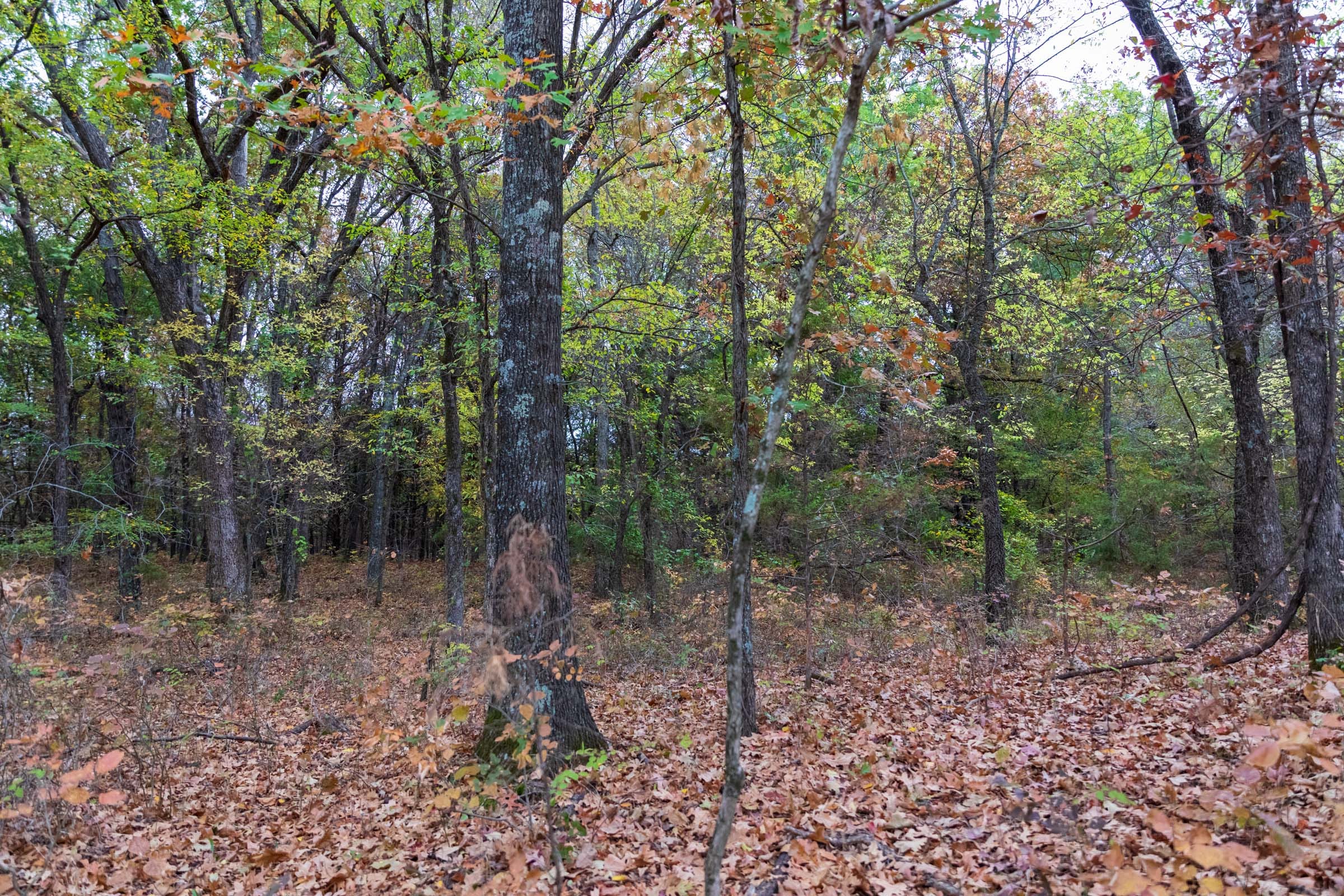 Crystal Springs Tract 4 photo 7